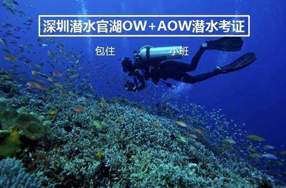 英雄就是我